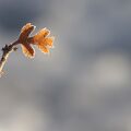 IMGP0541.jpg