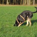 IMGP0578.jpg