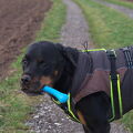IMGP0685