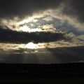 IMGP0349.jpg