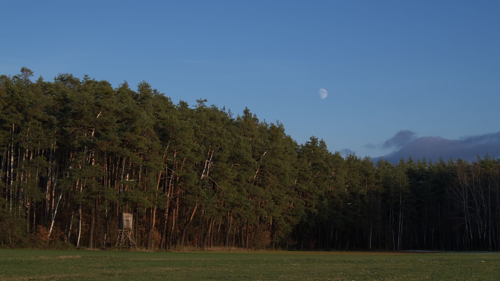 IMT03847.jpg