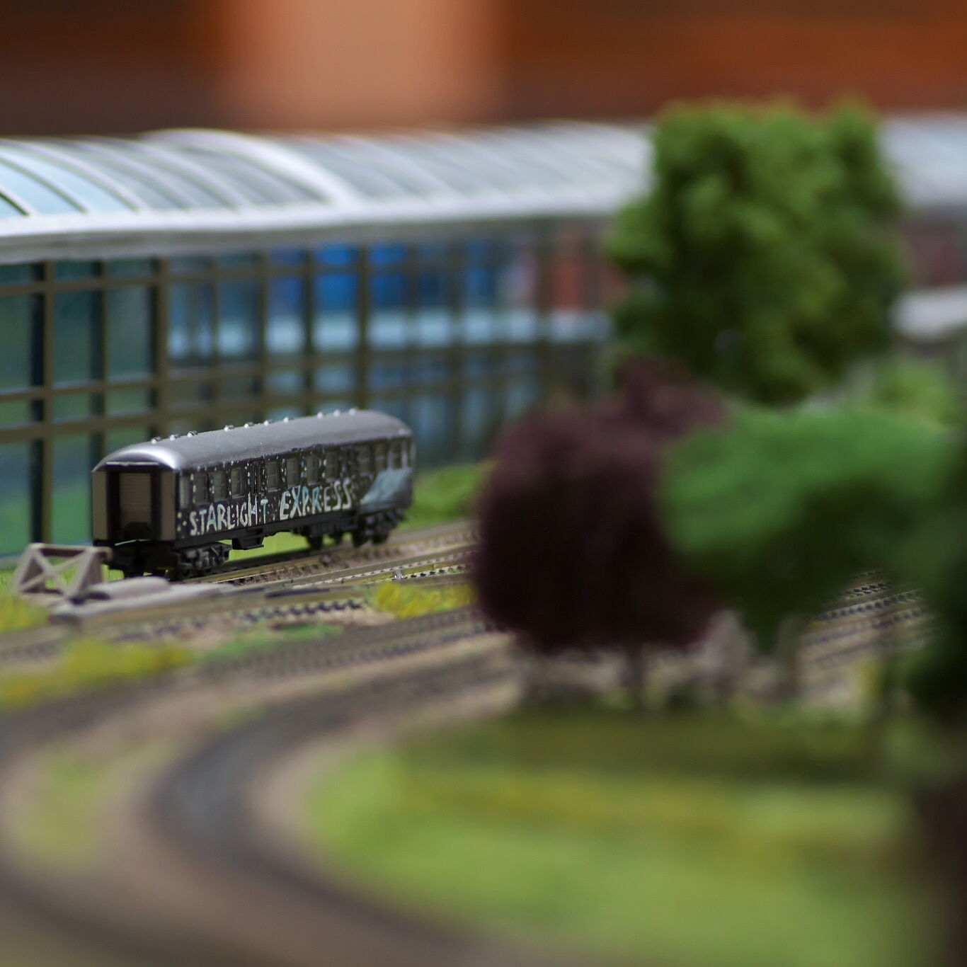 IMS01859