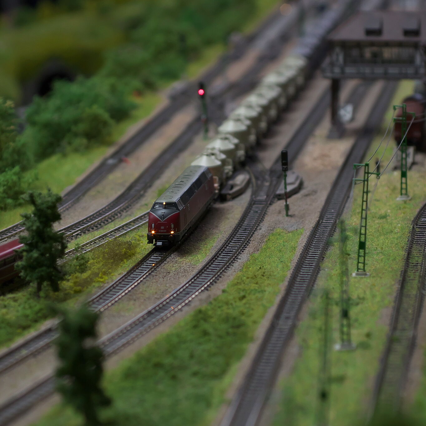 IMS01884