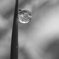 IMT05105 sw
