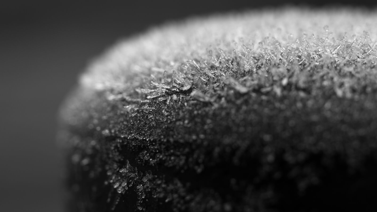 IMT05064.jpg
