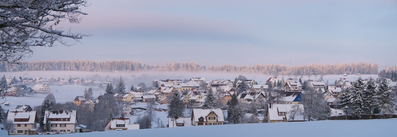 besenfeld_fruehpano.jpg