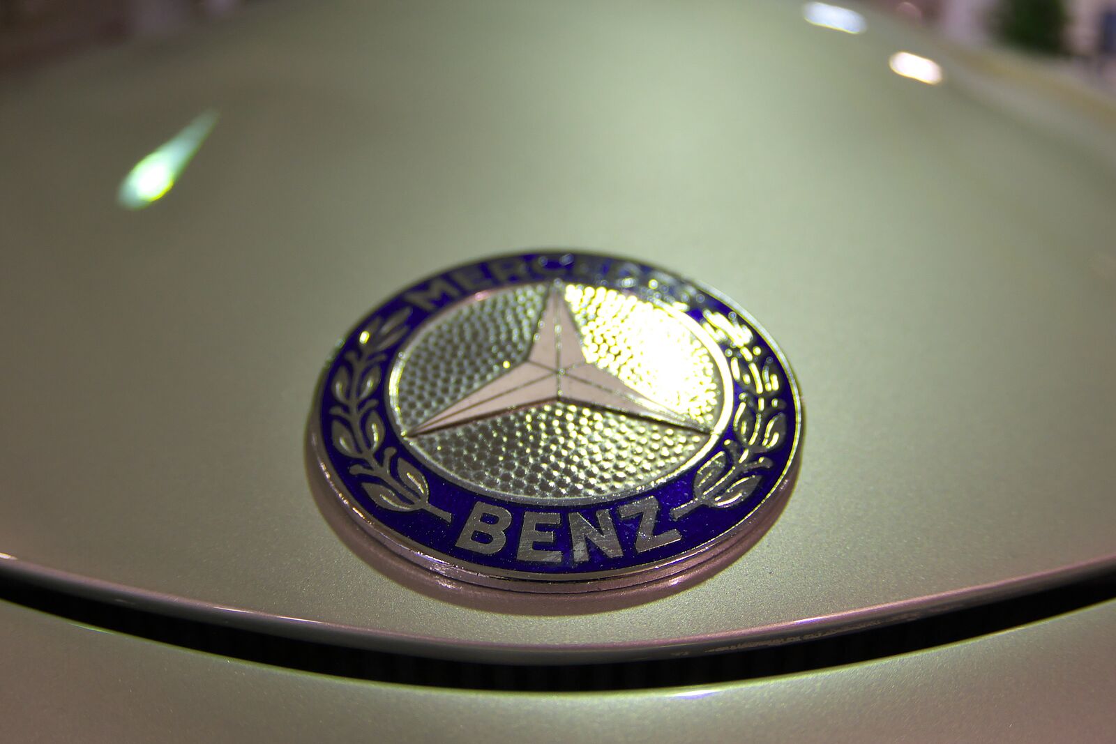 IMS02678.jpg