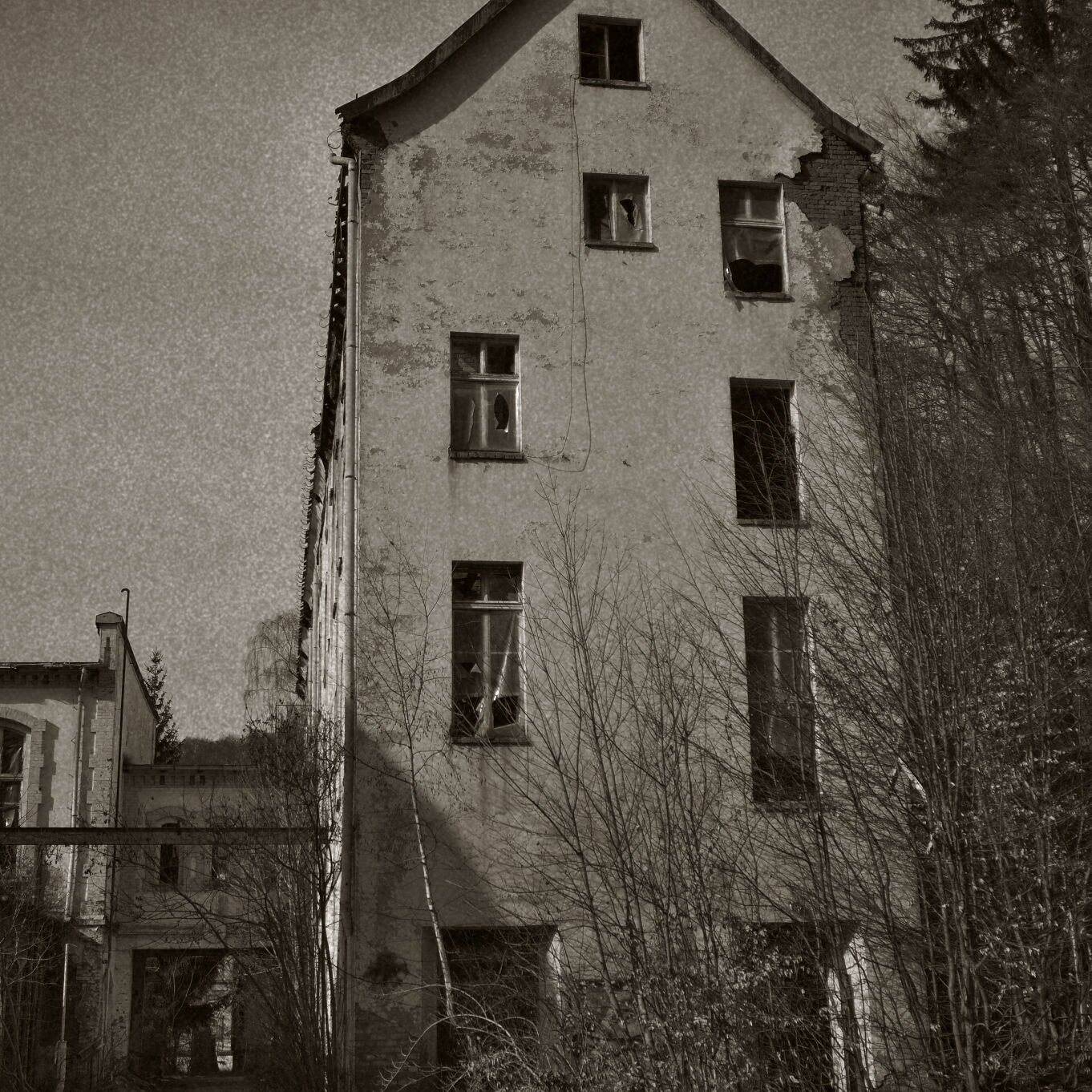 IMU01115