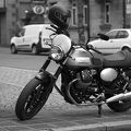 IMS08754.jpg