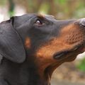 IMGP0791.jpg