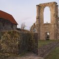 IMGP0737.jpg