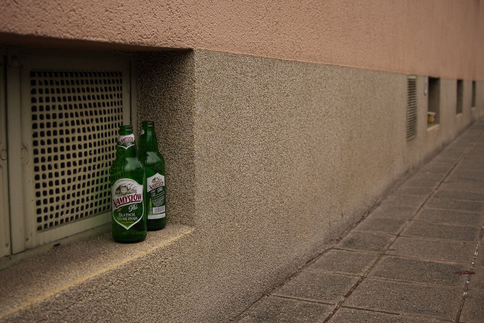 IMGP9800.jpg