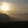 DSCF2161