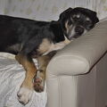 DSCF2179