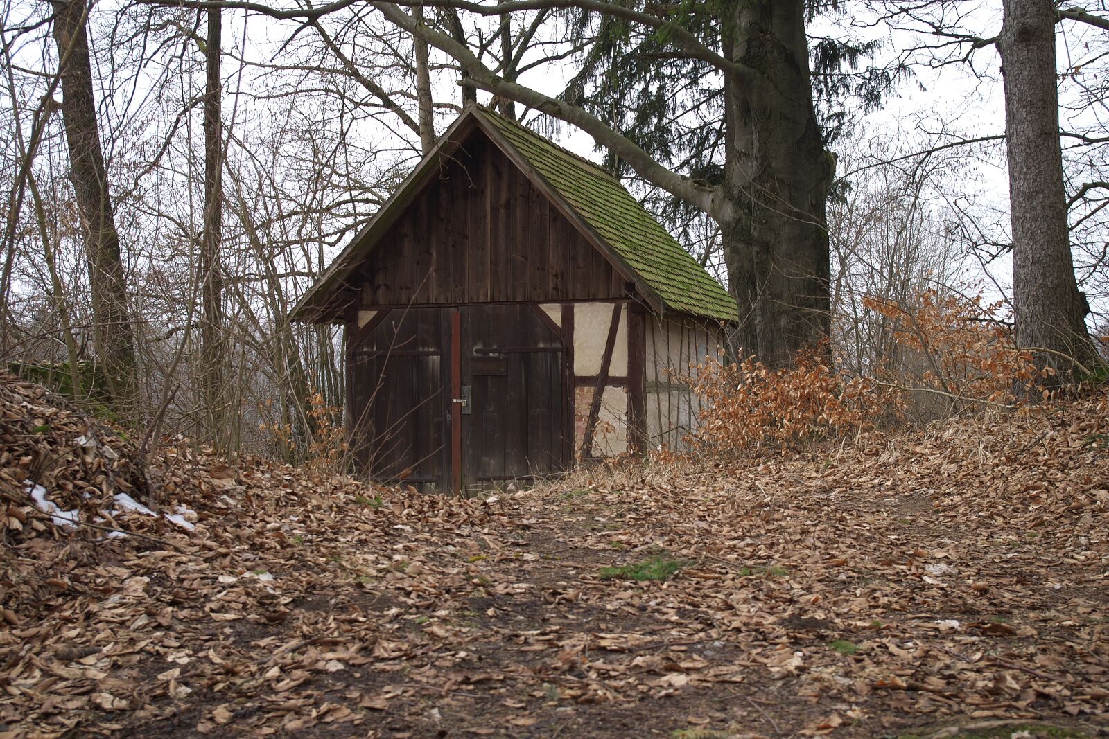 IMGP9585.jpg