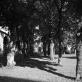GR000038.jpg