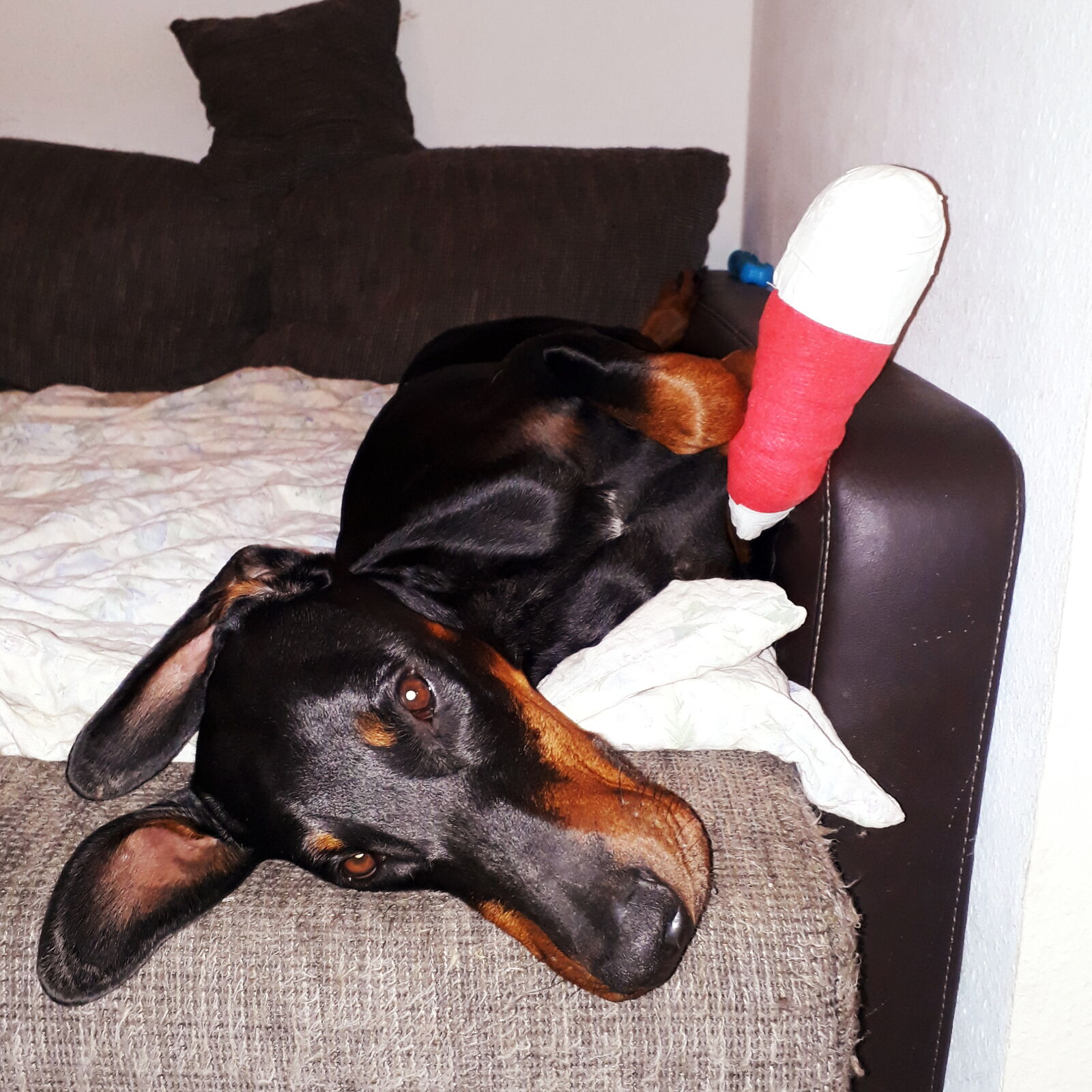 20181203 183723 (100)