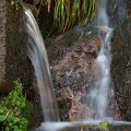 IMGP0173