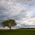 DSCF1135