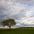 DSCF1135.jpg