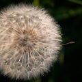 DSCF1171