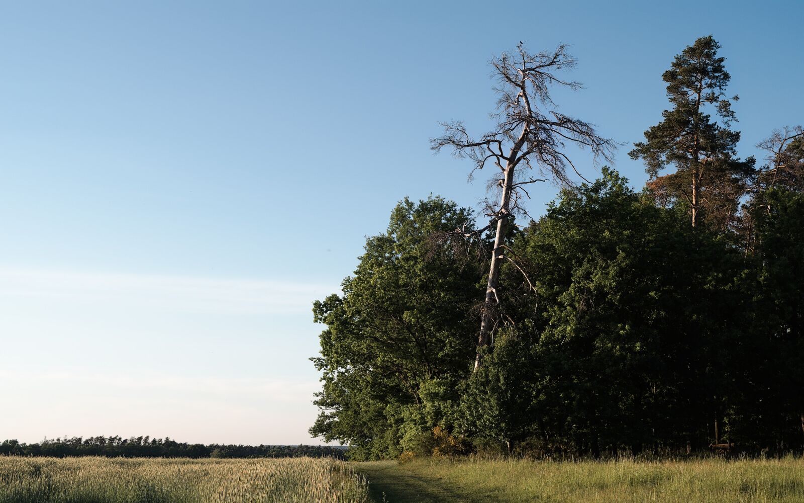 IMGP2124.jpg