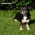 DSCF2149.jpg