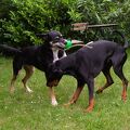 DSCF3014.jpg