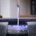 DSCF3116.jpg