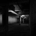 DSCF8549