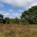 DSCF8664
