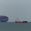 XT301663.jpg