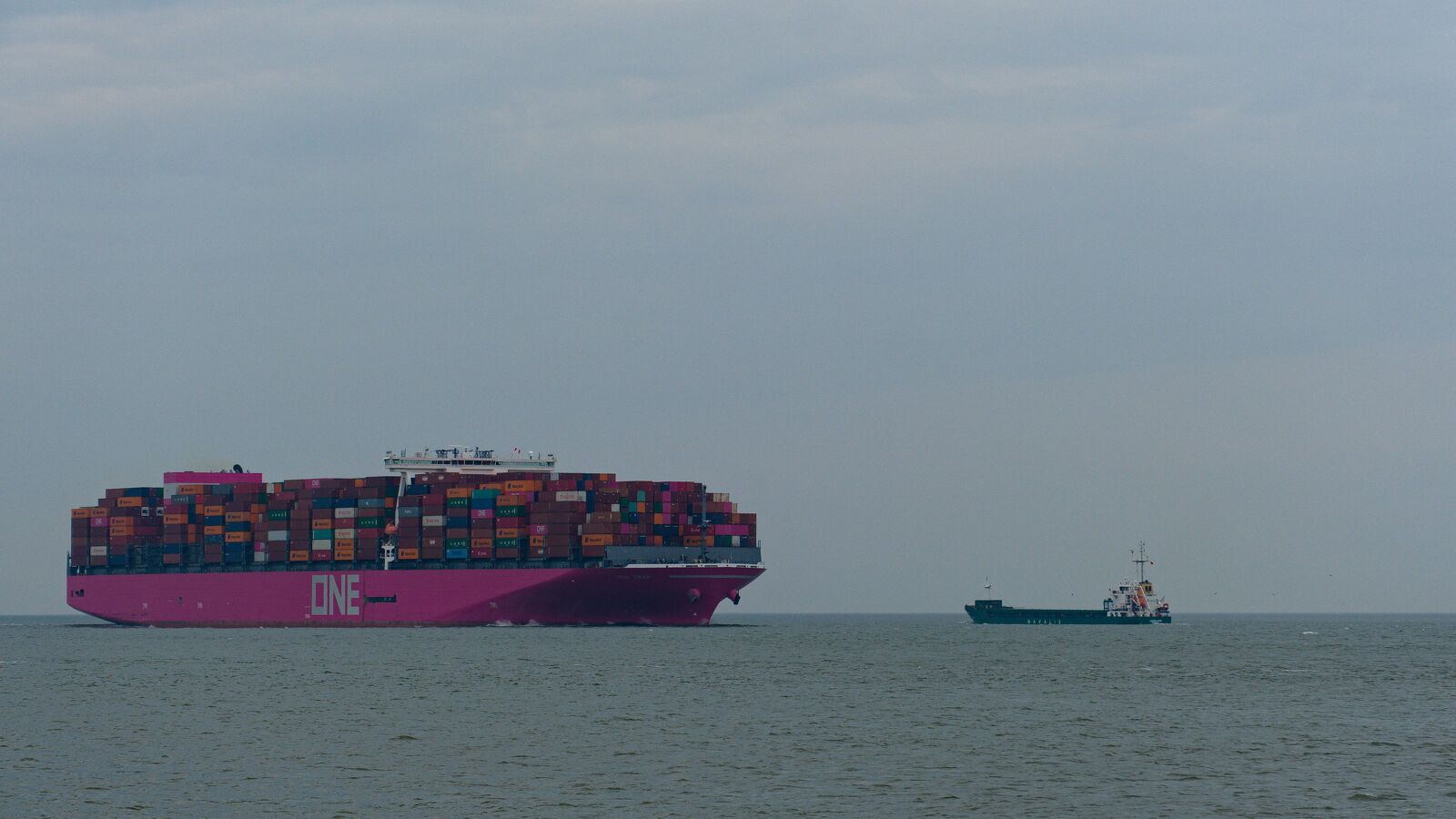 XT301677.jpg
