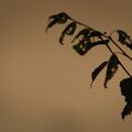 XT301725.jpg
