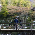 XT308603