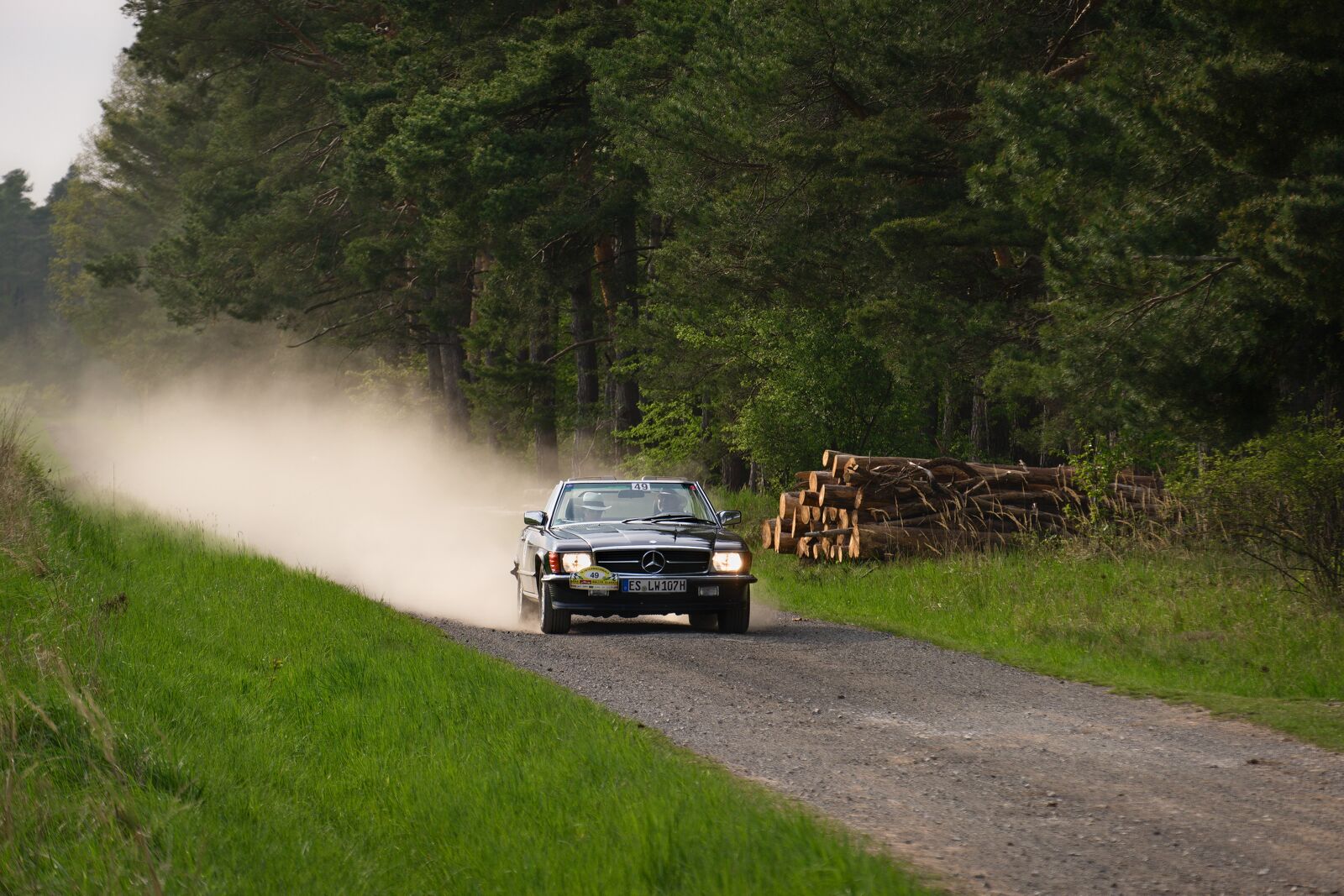 XT308910.jpg