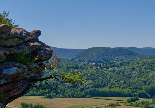 DSCF0084
