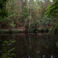 DSCF8049.jpg