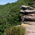 DSCF0090