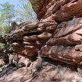 DSCF0137