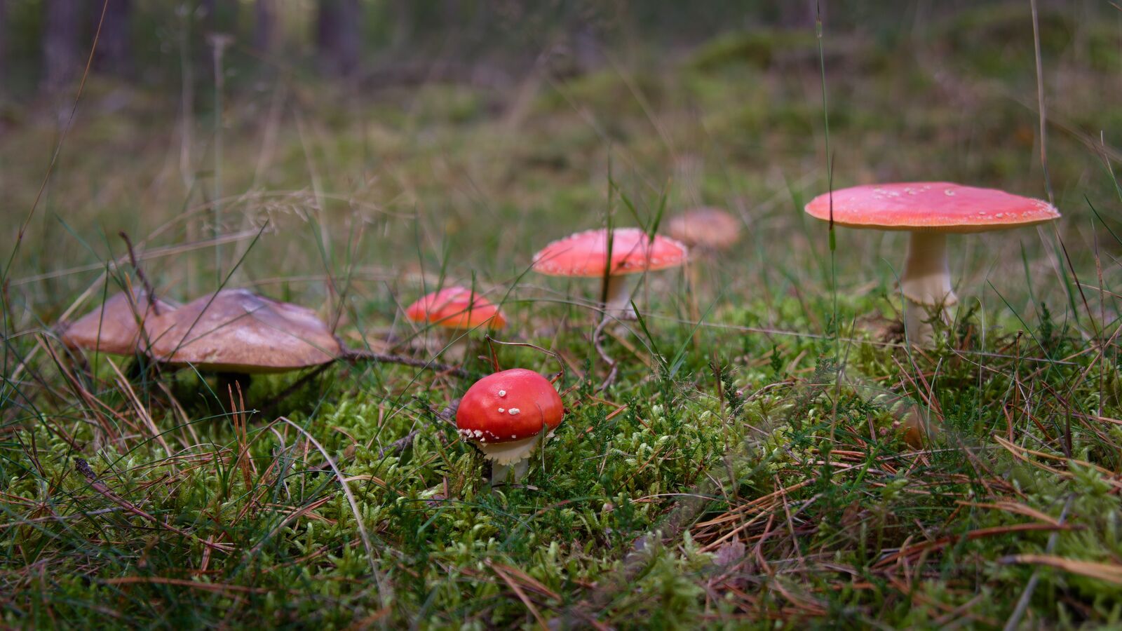 DSCF9578.jpg