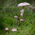 DSCF9589