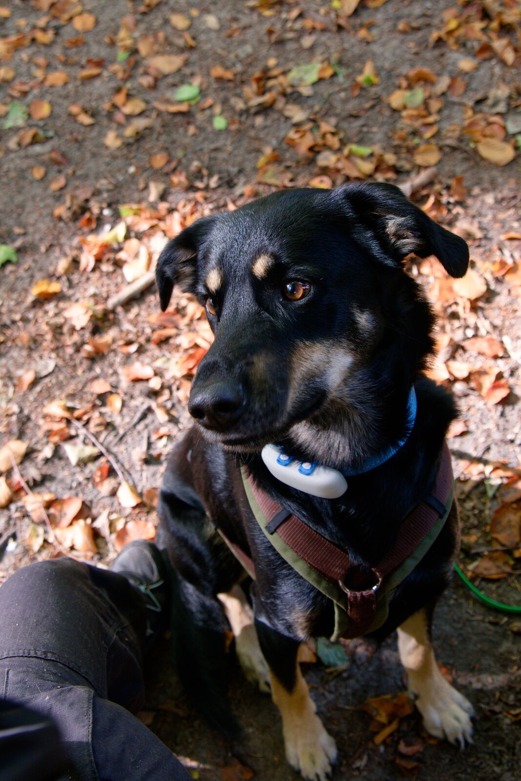 DSCF9670.jpg
