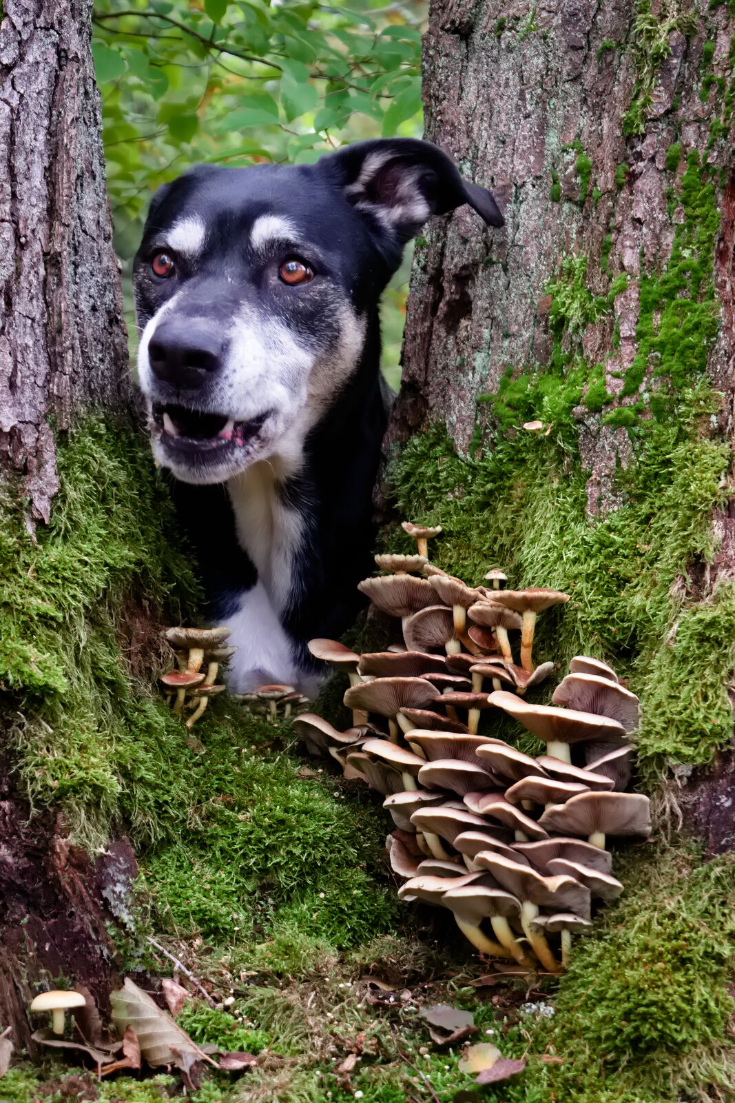DSCF9618.jpg