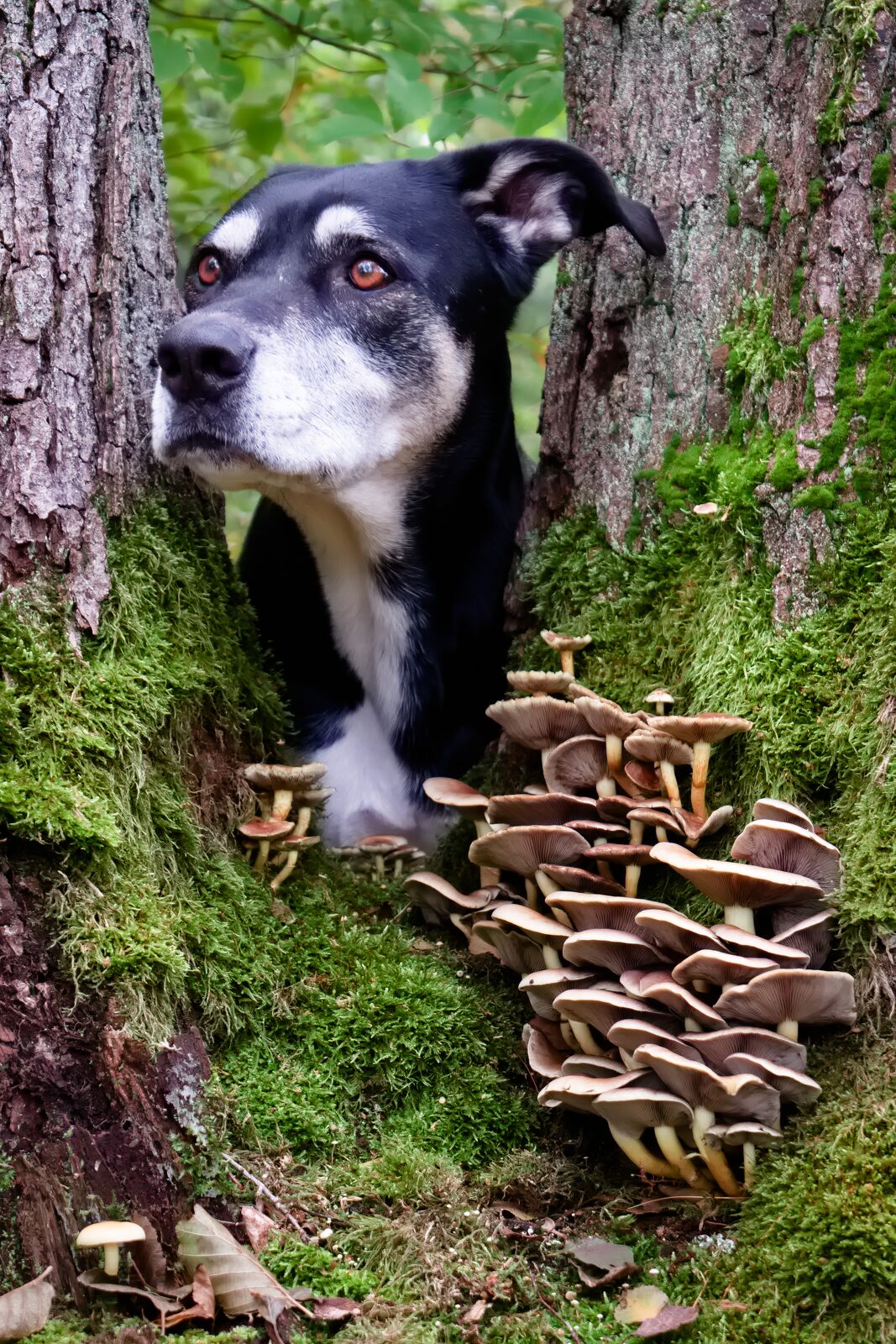 DSCF9616.jpg