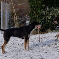 DSCF0111