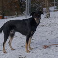 DSCF0132