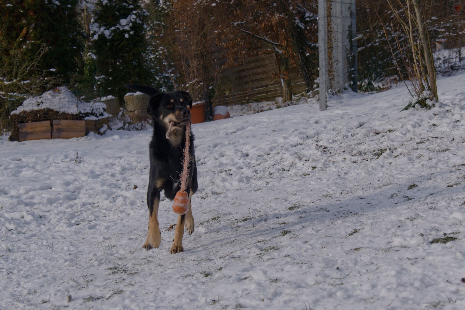 DSCF0157.jpg