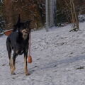 DSCF0159