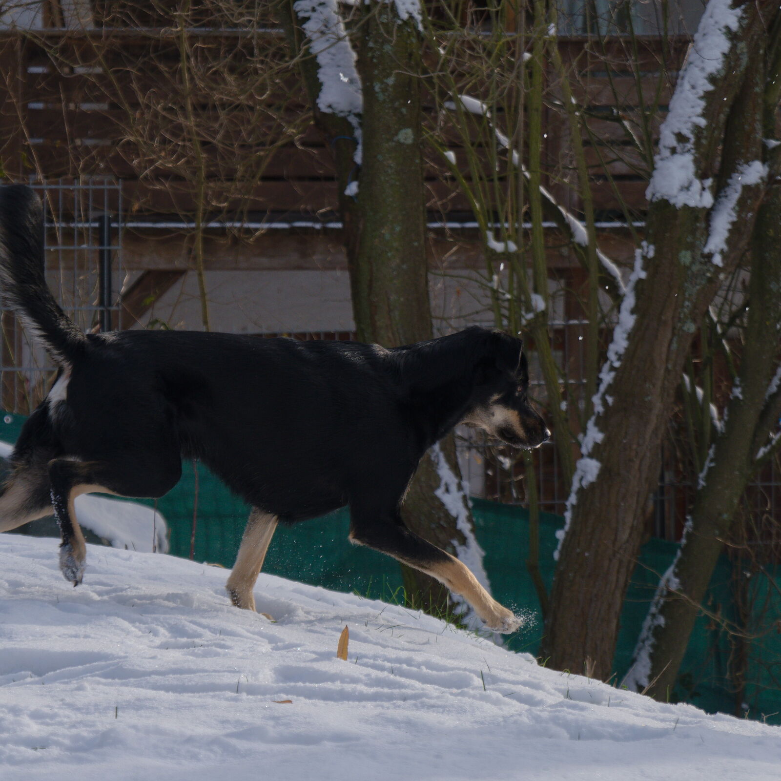 DSCF0179